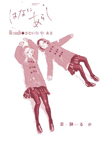 はなにあらし
